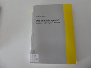 gebrauchtes Buch – IFOK / ZKE Peter Assauer, Jürgen Wüst – Was heißt hier Agenda! Analysen - Erfahrungen - Beispiele. Softcover