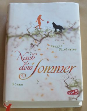 gebrauchtes Buch – Maggie Stiefvater – Nach dem Sommer - Band 1