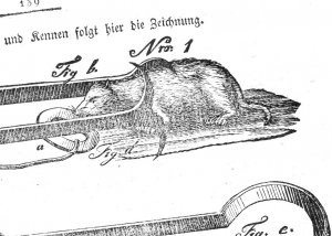 Probate (Wühl-/) MauseFalle und Köder 1827