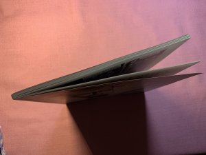 gebrauchtes Buch – Martin tom Dieck – Neue Abenteuer des unglaublichen Orpheus