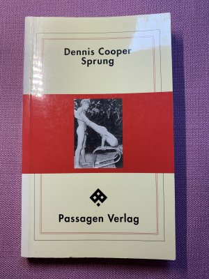 gebrauchtes Buch – Dennis Cooper – Sprung