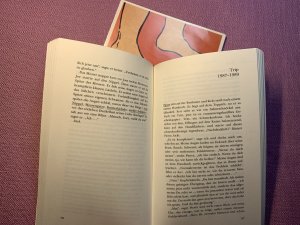 gebrauchtes Buch – Dennis Cooper – Sprung