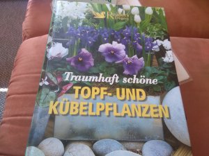 Traumhaft schöne Topf- und Kübelpflanzen