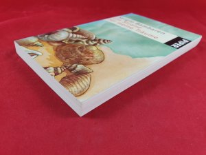 gebrauchtes Buch – Sergio Bambaren – Ein Strand für meine Träume