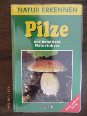 gebrauchtes Buch – Natur erkennen / Pilze