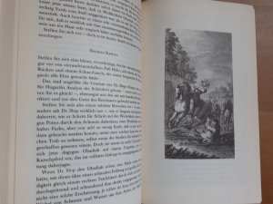 gebrauchtes Buch – Laurence Sterne – Tristram Shandy - Das Leben und die Ansichten Tristram Shandys