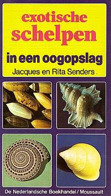 Exotische Schelpen in een oogopslag