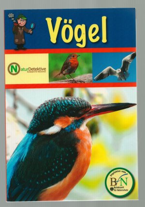 gebrauchtes Buch – Greta Steenbock  – Naturdetektive /Vögel--Naturführer für Kinder ab 6 Jahren