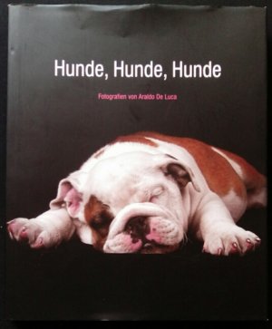 Hunde, Hunde, Hunde Fotografien von Araldo de Luca Großbildband mit wunderschönen Aufnahmen