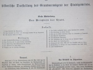 Das Grundbuch der Stadtgemeinde Berlin oder historische Darstellung des Grundvermögens der Stadtgemeinde.