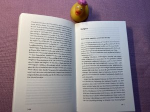 gebrauchtes Buch – Christina Schott – Indonesien - Ein Länderporträt