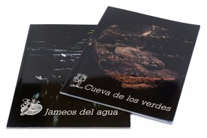 gebrauchtes Buch – Ildefonso Aguilar de la Rúa – Jameos del agua. Centros de arte, cultura y turismo. Excmo. Cabildo Insular de Lanzarote