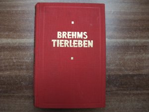 gebrauchtes Buch – Otto Goers – Brehms Tierleben - Säugetiere Raubtiere