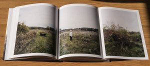 gebrauchtes Buch – Bosworth, Barbara & Kelley – The Meadow - signed copy