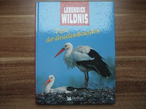 gebrauchtes Buch – Tiere der Graslandschaften