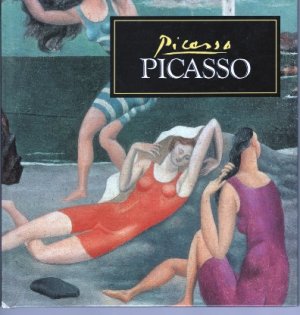 gebrauchtes Buch – Picasso – Picasso