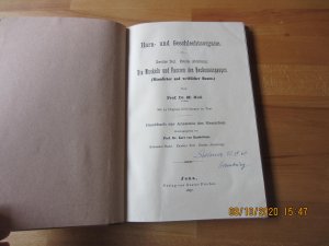 Harn- und Geschlechtsorgane Die Muskeln und Fascien des Beckenausganges (Männlicher und weiblicher Damm)