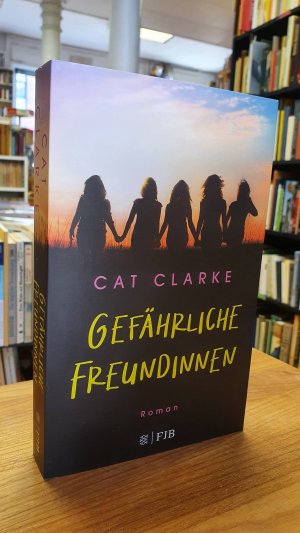 gebrauchtes Buch – Cat Clarke – Gefährliche Freundinnen - Roman,, aus dem Englischen von Elisabeth Müller