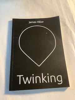 gebrauchtes Buch – James Hiller – Twinking