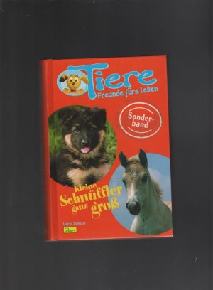 gebrauchtes Buch – Uschi Zietsch – Tiere - Freunde fürs Leben / Kleine Schnüffler ganz gross