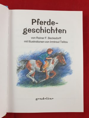 gebrauchtes Buch – Pferdegeschichten