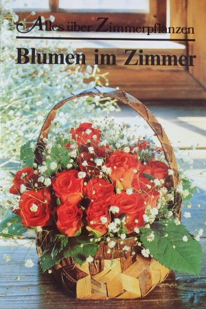 Blumen im Zimmer : Alles über Zimmerpflanzen