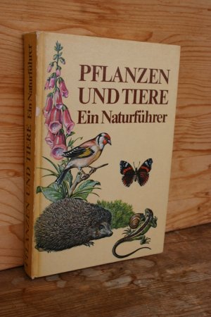 gebrauchtes Buch – Needon, Christoph; Petermann – Pflanzen und Tiere. Ein Naturführer - Mit 1500 farbigen Illustrationen auf 205 Tafeln