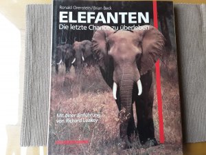 gebrauchtes Buch – Ronald Orenstein – Elefanten