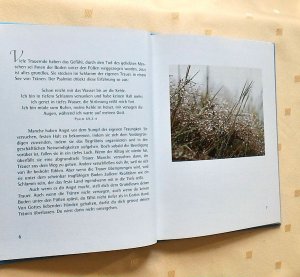 gebrauchtes Buch – Anselm Grün – Bis wir uns im Himmel wiedersehen