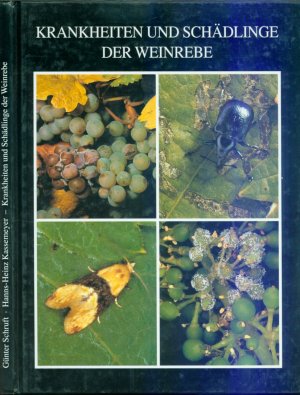 gebrauchtes Buch – Günter Schruft; Hanns H. Kassemeyer – Krankheiten und Schädlinge der Weinrebe