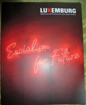 Socialism for Future, Luxemburg Gesellschaftsanalyse und linke Praxis