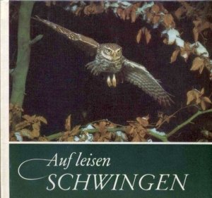 Auf leisen Schwingen (Eulen,Kauze)