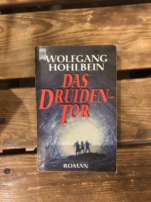 gebrauchtes Buch – Wolfgang Hohlbein – Das Druidentor