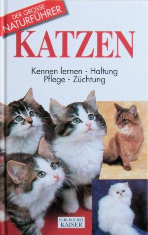 gebrauchtes Buch – Capra, Alexa; Robotti – Katzen: Kennen lernen - Haltung - Pflege - Züchtung