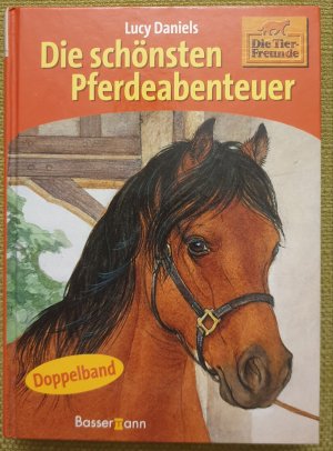 gebrauchtes Buch – Lucy Daniels – Die schönsten Pferdeabenteuer  DOPPELBAND