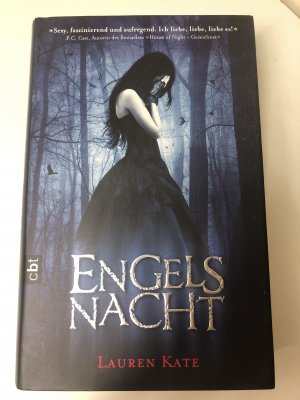 gebrauchtes Buch – Lauren Kate – Engelsnacht