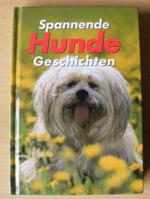 Spannende Hundegeschichten