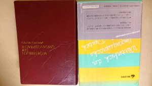 gebrauchtes Buch – Wörterbuch der Umgangssprache, Japanisch-Deutsch