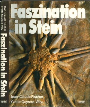 Faszination in Stein