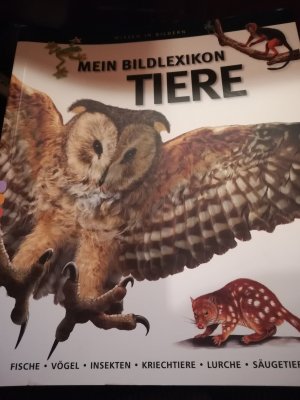 gebrauchtes Buch – mein bildlexikon