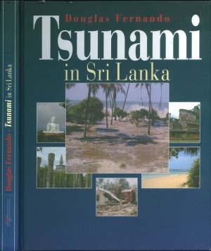 Tsunami in Sri Lanka: Die Trümmer schreien nach einem neuen Anfang