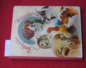 Zoologischer Atlas. [Deckeltitel: Zoologischer Bilderatlas]