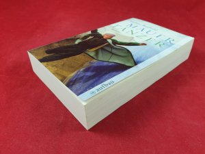 gebrauchtes Buch – Andrea Busfield – Mauertänzer