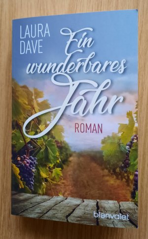 gebrauchtes Buch – Laura Dave – Ein wunderbares Jahr