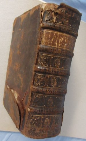 Die Bibel oder die ganze Heilige Schrift des Alten und Neuen Testaments nach der deutschen Übersetzung Martin Luthers.