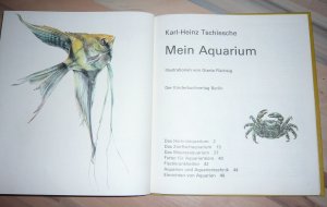 Mein Aquarium