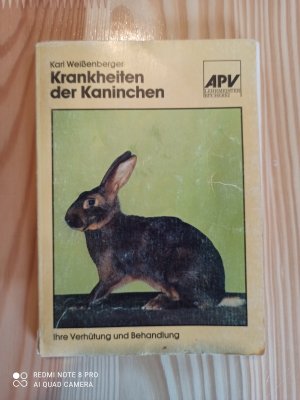 Krankheiten der Kaninchen