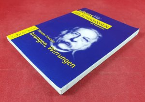 gebrauchtes Buch – Theodor Fontane – Fontane. Irrungen Wirrungen