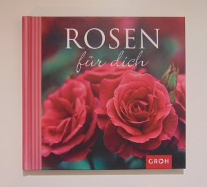 Rosen für dich - Die Rose - die Königin der Blumen