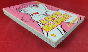 gebrauchtes Buch – Akira Fujiwara – Love Blog!! 01